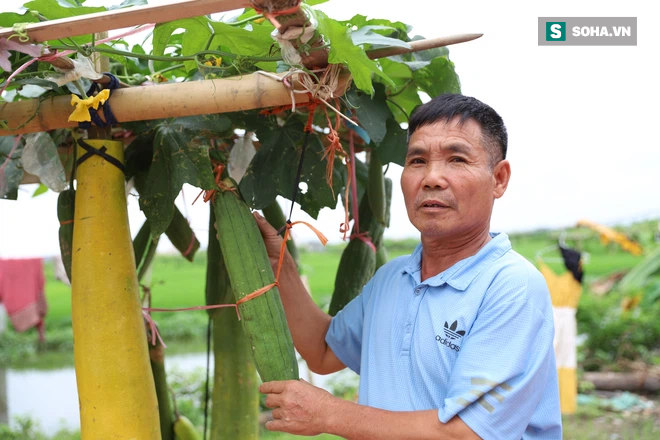 Ông chú nông dân khiến cả huyện nháo nhào vì cách bán hàng cao tay: Tinh túy đến từ xe đẩy 3 mét vuông - Ảnh 1.