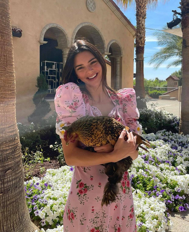 Kendall Jenner công khai khịa Selena Gomez là vì vợ chồng Justin Bieber? - Ảnh 2. Kendall Jenner công khai khịa Selena Gomez là vì vợ chồng Justin Bieber? - Ảnh 2.