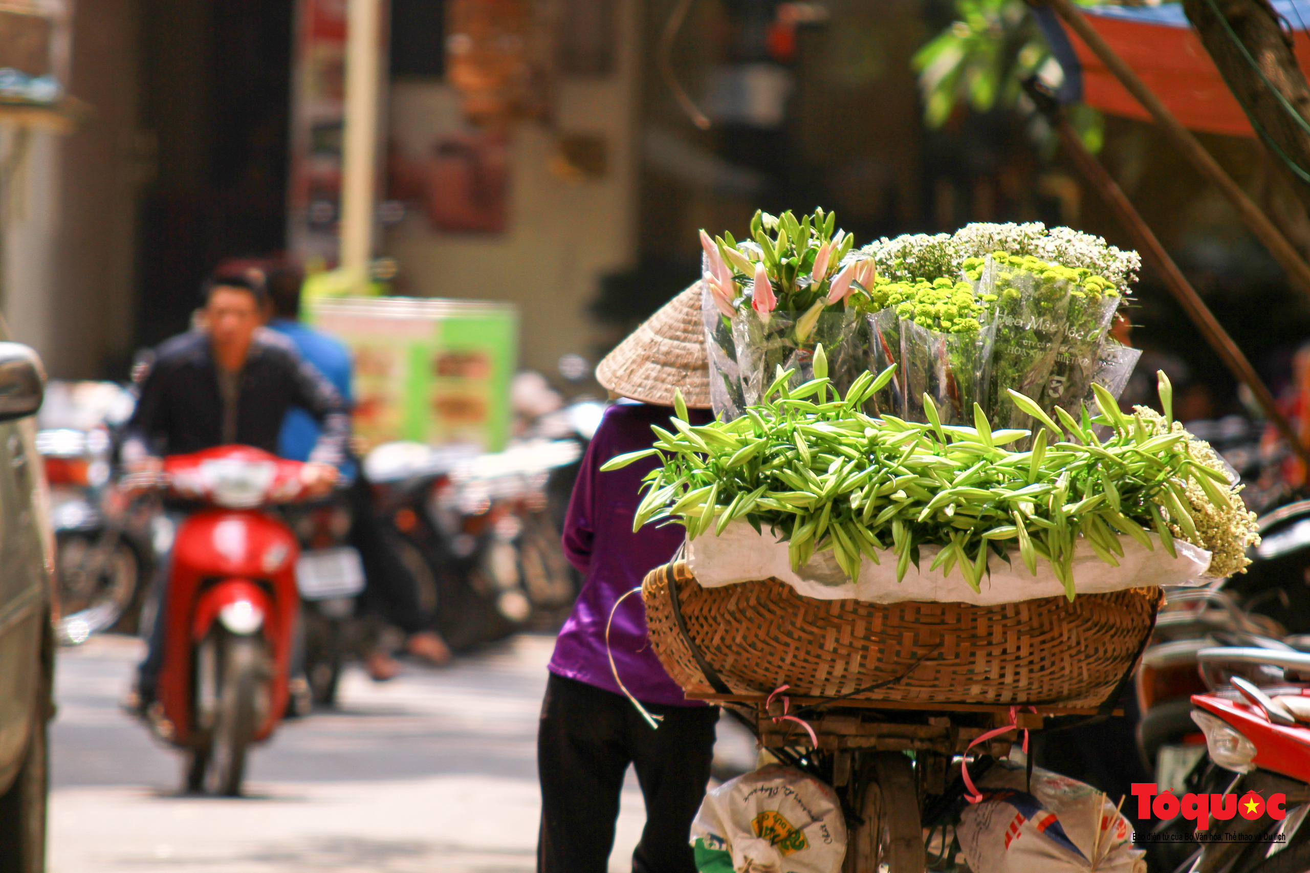 Tháng Tư mùa loa kèn khoe sắc gọi hè về - Ảnh 6.