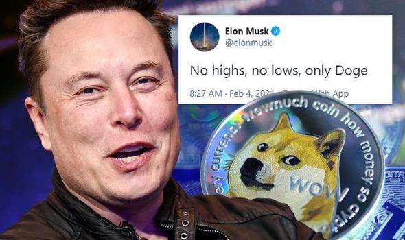 Bạn gái bảo Elon Musk hay trẻ trâu trên MXH, dân tình rần rần phản đối, hài hước bảo rằng cứ nhìn giá Bitcoin là biết - Ảnh 3.