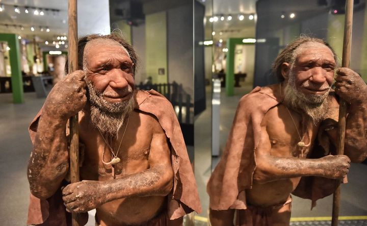 Nếu người Neanderthal không bị tuyệt chủng, thế giới sẽ ra sao? - Ảnh 6.