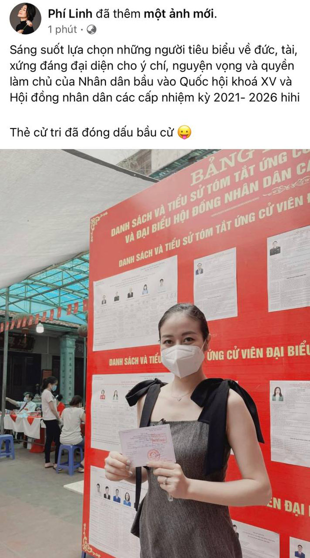 Dàn sao Việt đi bầu cử - Ảnh 6.