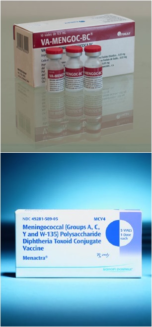 Khác biệt giữa 2 căn bệnh nguy hiểm, hay gặp ở trẻ nhỏ: Viêm não mô cầu và viêm não Nhật Bản - Ảnh 9.