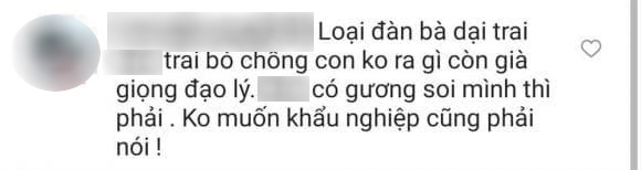 Màn đôi co căng thẳng của Lệ Quyên và antifan khi bị xúc phạm &quot;loại đàn bà dại trai bỏ chồng&quot; - Ảnh 2.