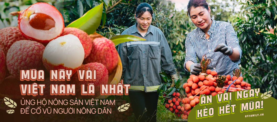 Deal hot mua vải thiều Bắc Giang: Giảm tới 50% mà quả nào quả nấy đẹp ngon 10/10 - Ảnh 7.