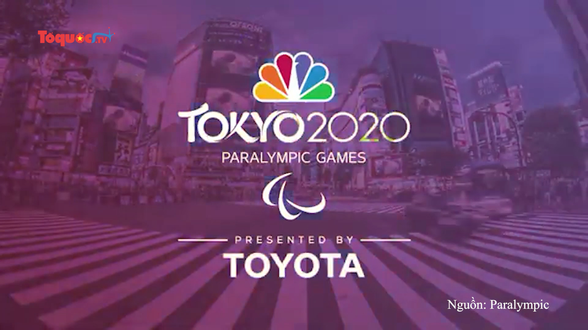 Dự kiến 11 vận động viên tham dự Paralympic Tokyo