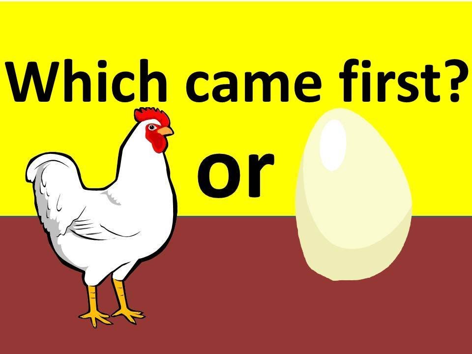 Con gà hay quả trứng có trước? Câu hỏi “hack não” đã có lời giải, nhưng sao xem dân tình tranh cãi vẫn thấy sai sai thế này? - Ảnh 1.
