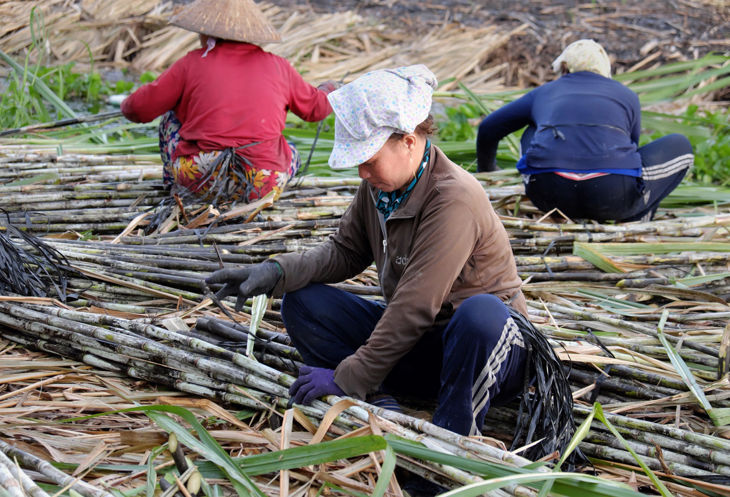 Quyết liệt hơn với các giải pháp chặn đứng đường cát nhập lậu - Ảnh 2.