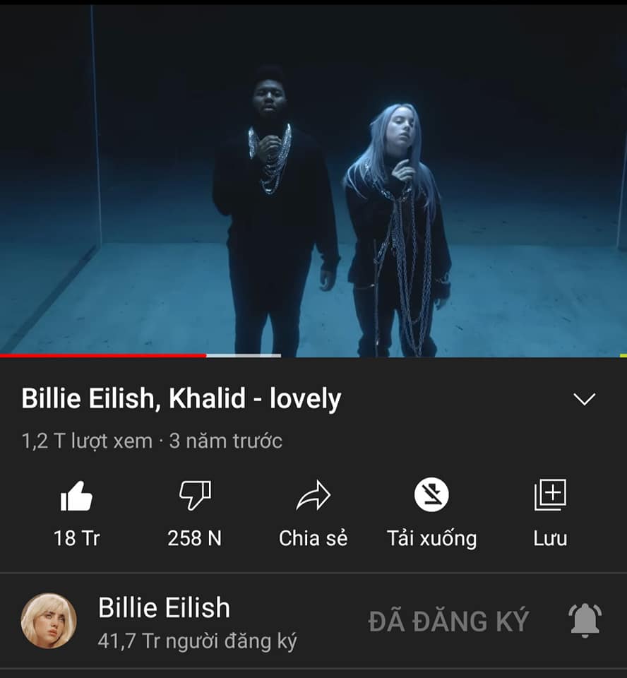 Billie Eilish lên tiếng sau phốt chế giễu người Châu Á, lượng follower lại tăng mạnh nhưng vẫn bị netizen chỉ trích gay gắt! - Ảnh 8.
