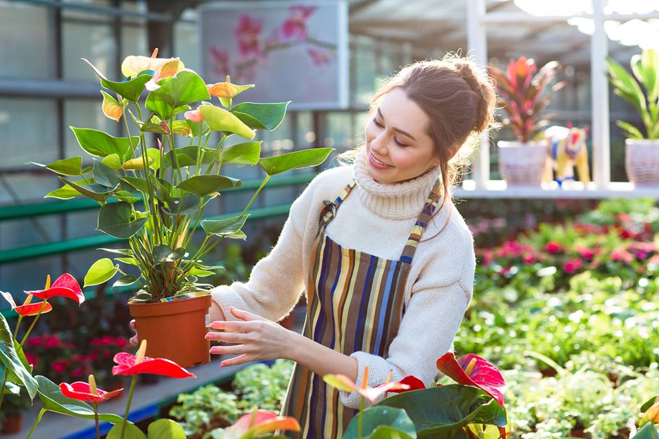 9 mẹo tiết kiệm khi trồng rau sạch tại nhà, bạn sẽ thoát khỏi tình trạng “tự trồng mà đắt hơn đi mua” - Ảnh 2.