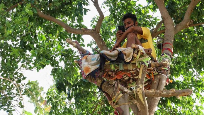 Ấn Độ: Nhiều bệnh nhân Covid-19 tự cách ly hàng chục ngày trên cây như trong phim Tarzan - Ảnh 1.