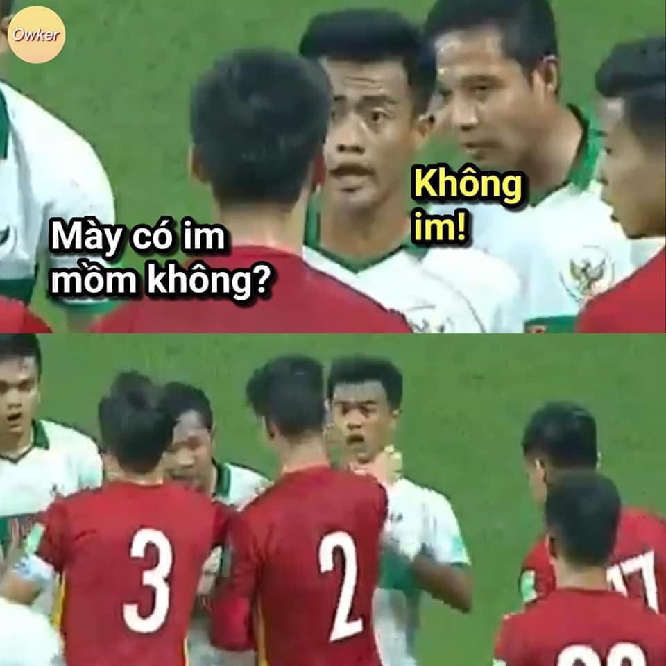 Fan Việt Nam chế loạt ảnh hài hước sau trận đấu với Indonesia - Ảnh 1.