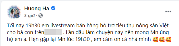 Sao Việt hồ hởi livestream bán nông sản: Xuân Bắc &quot;chốt đơn&quot; hàng tấn vải, &quot;chị Nguyệt&quot; Hà Hương lần đầu làm điều này - Ảnh 4.