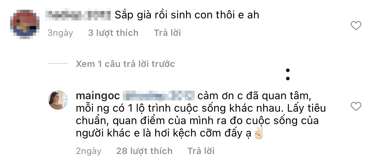 MC Mai Ngọc thẳng thừng đáp trả bình luận kém duyên &quot;sắp già rồi sinh con thôi!&quot;  - Ảnh 2.