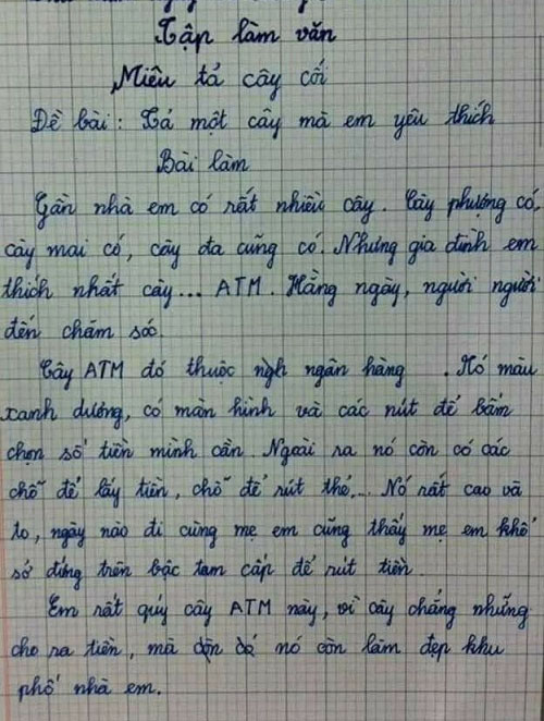 Học sinh tả cái cây “hàng ngày người người đến chăm sóc”, dân tình vừa đọc vừa gật gù: Trời ơi, cây mà tui đang cần là đây chứ đâu! - Ảnh 1.