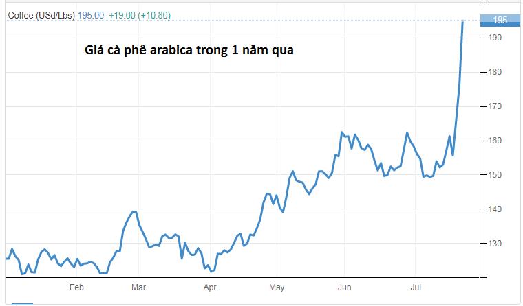 Giá cà phê tăng 20% chỉ trong một tuần, đạt “đỉnh” 6,5 năm, dự báo tăng thêm 25% nữa - Ảnh 1.