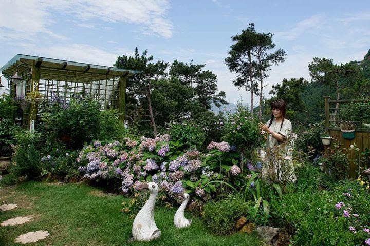 Người phụ nữ bỏ phố về quê để xây dựng vườn hoa 1500m2 đẹp nhất Trung Quốc: Nửa đời người dành cho gia đình, nửa đời sau, hãy dành cho chính mình - Ảnh 2.