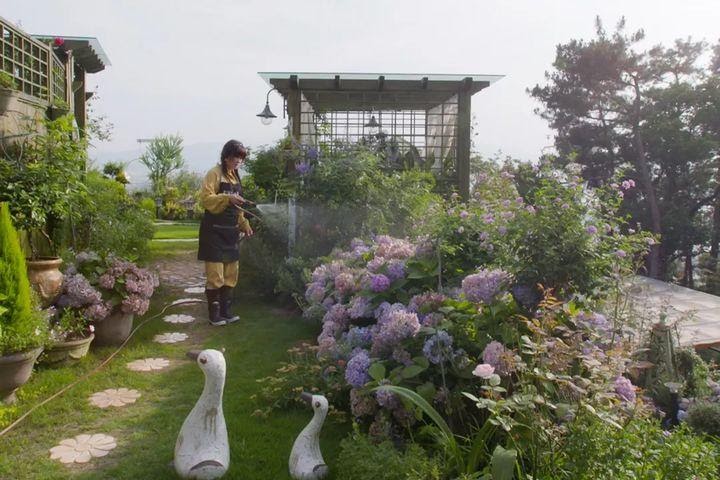 Người phụ nữ bỏ phố về quê để xây dựng vườn hoa 1500m2 đẹp nhất Trung Quốc: Nửa đời người dành cho gia đình, nửa đời sau, hãy dành cho chính mình - Ảnh 3.