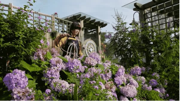 Người phụ nữ bỏ phố về quê để xây dựng vườn hoa 1500m2 đẹp nhất Trung Quốc: Nửa đời người dành cho gia đình, nửa đời sau, hãy dành cho chính mình - Ảnh 24.