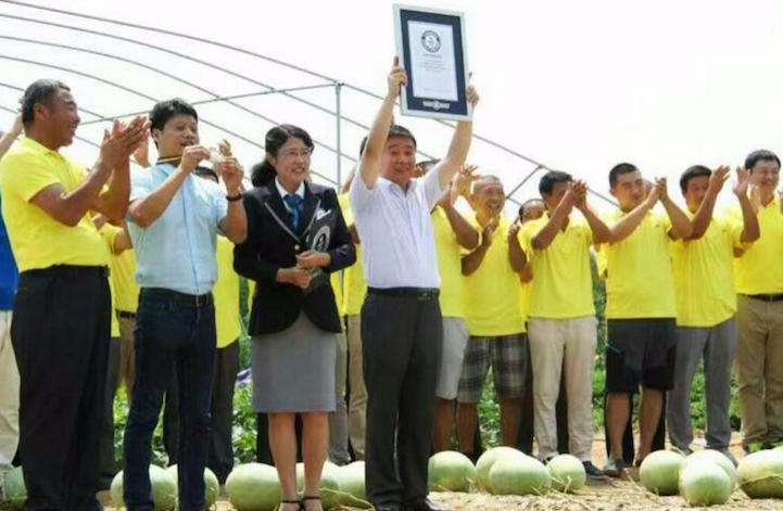 Kinh ngạc cây dưa hấu siêu mắn chưa từng thấy trên thế giới: &quot;Đẻ sòn sòn&quot; 131 quả một vụ, lá chẳng thấy đâu mà trái xum xuê - Ảnh 4.