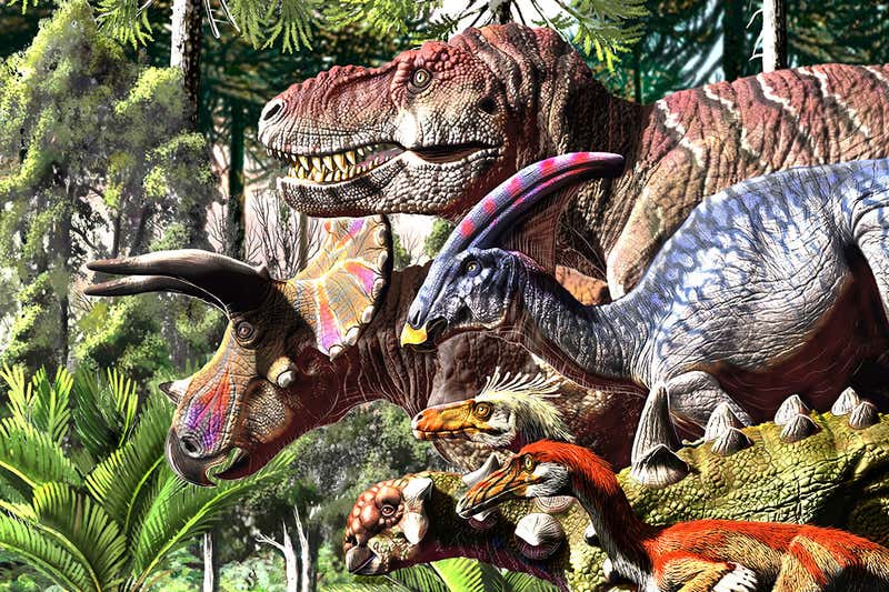 Thiên thạch chỉ là một đòn knock-out, khủng long đã trên bờ vực tuyệt chủng từ lâu trước khi va chạm xảy ra - Ảnh 2.