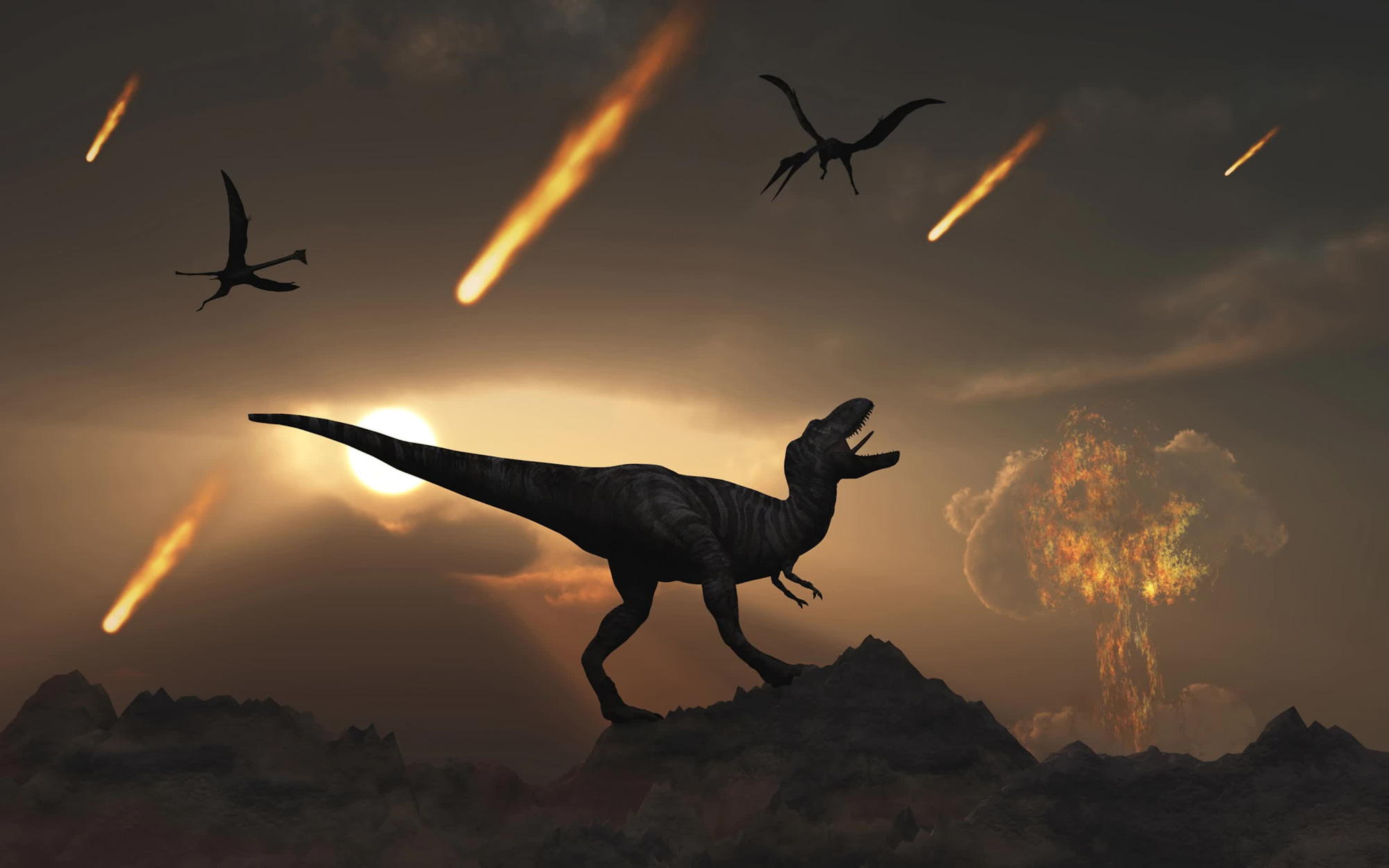 Thiên thạch chỉ là một đòn knock-out, khủng long đã trên bờ vực tuyệt chủng từ lâu trước khi va chạm xảy ra - Ảnh 4.