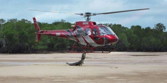 Loạt ảnh cho thấy những điều kỳ quặc chỉ có ở Úc - Ảnh 9.
