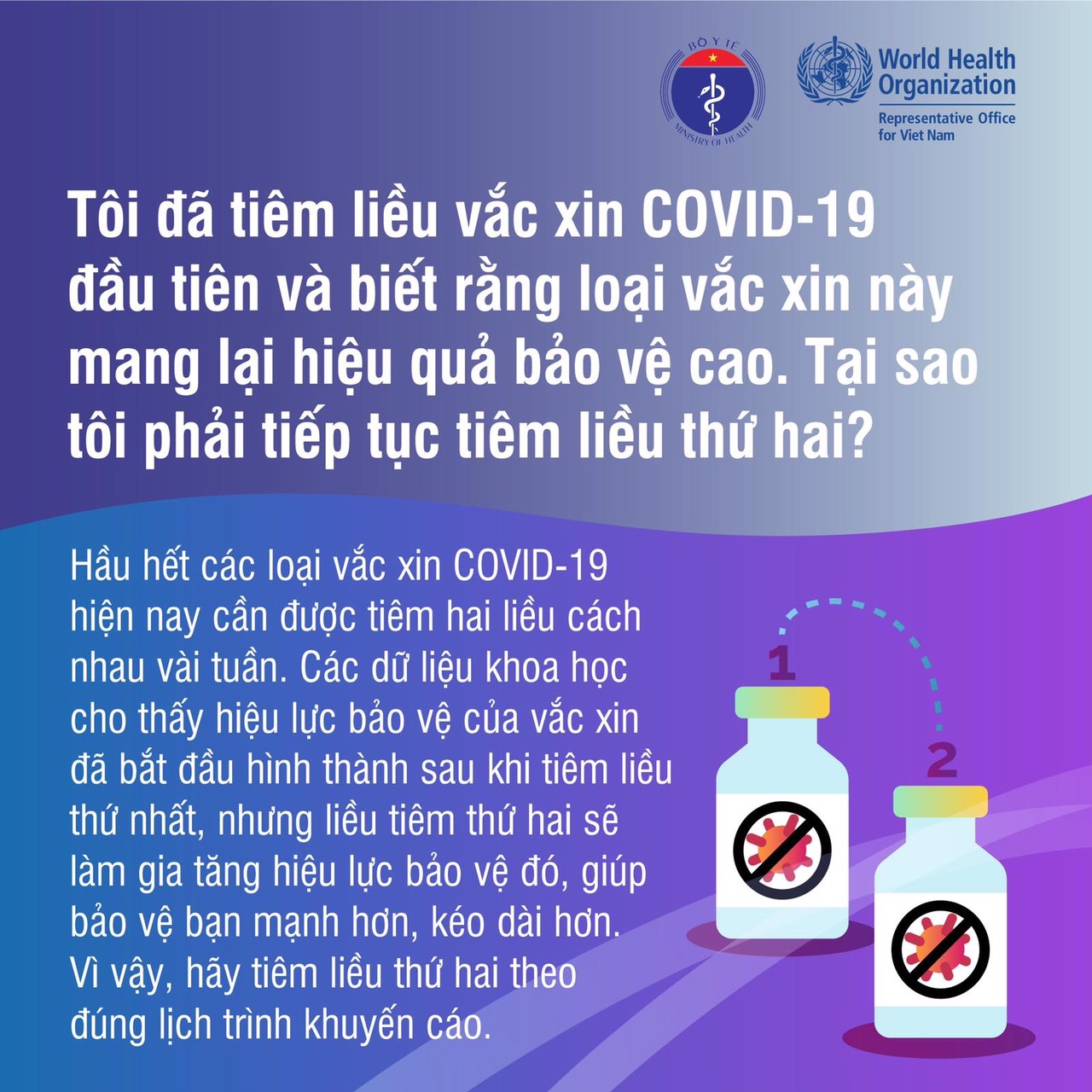 [Inforaphic] &quot;Sự thật về vắc xin COVID-19&quot; - Ảnh 1.