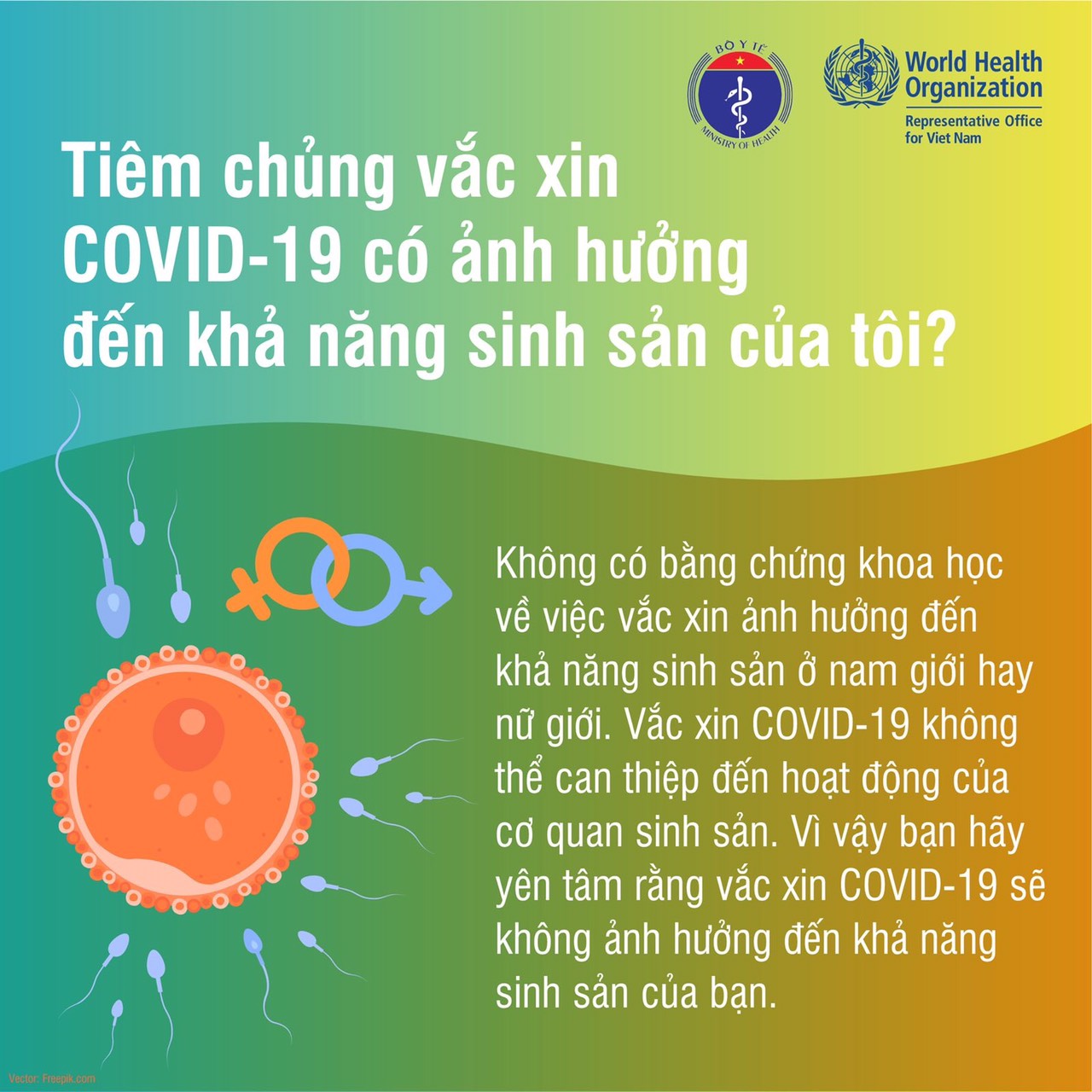 [Inforaphic] &quot;Sự thật về vắc xin COVID-19&quot; - Ảnh 10.