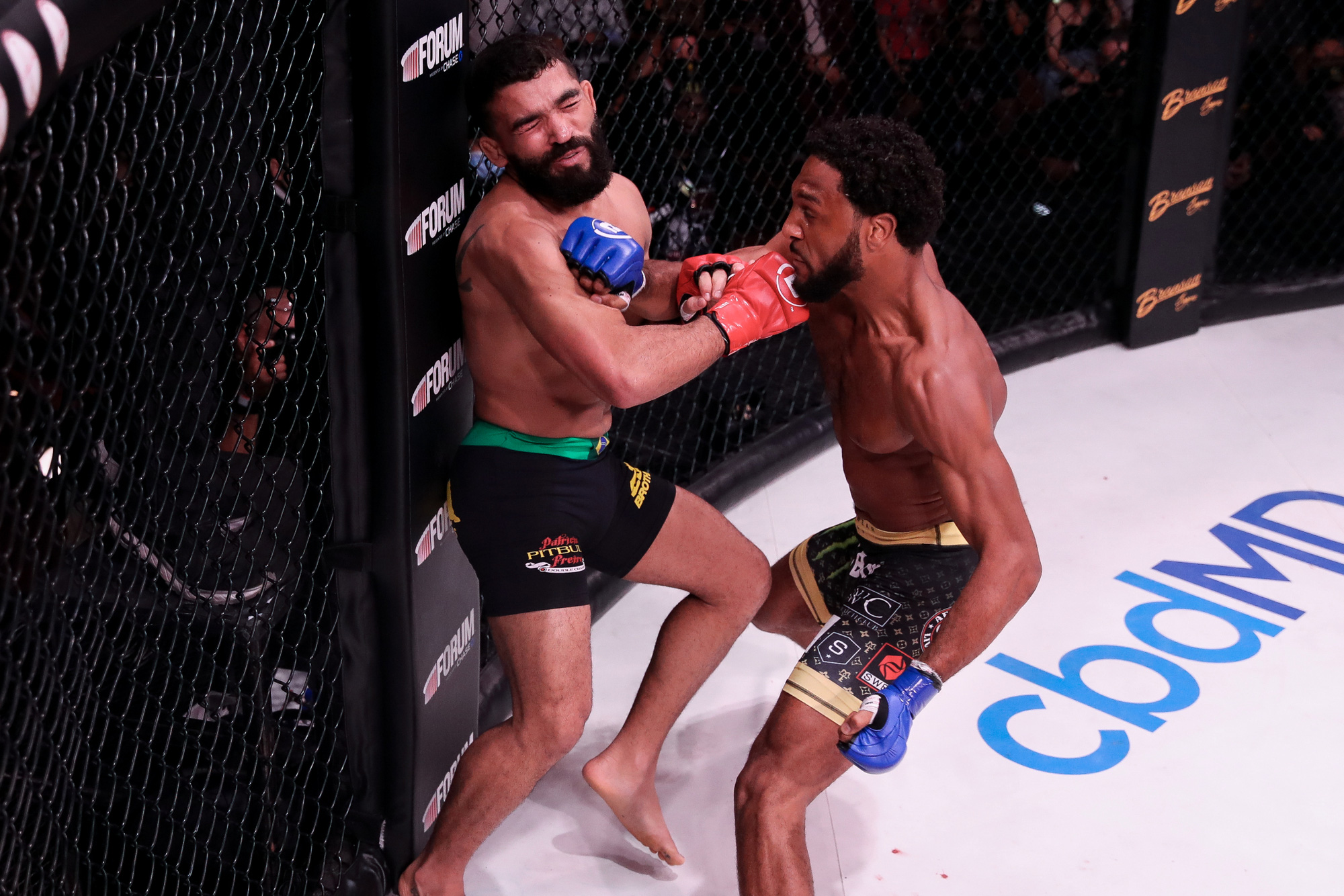 Những điều rút ra từ 2 sự kiện MMA lớn nhất tuần qua: McKee khẳng định vị thế, Khabib gây ấn tượng - Ảnh 2.
