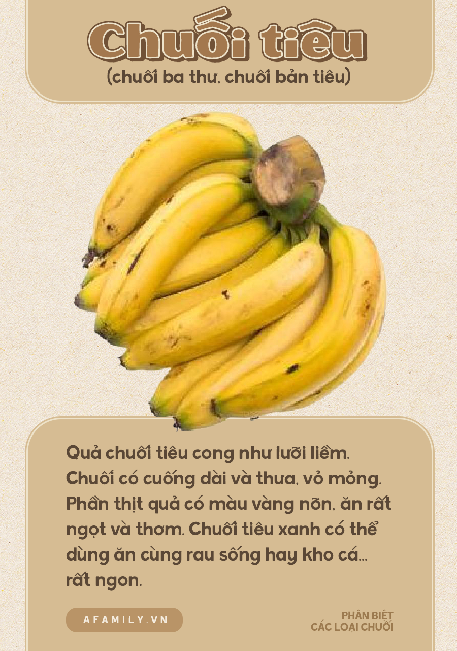 Biết phân biệt các loại chuối mới là cô gái từng trải? Thử check xem bạn phân biệt được mấy loại nhé! - Ảnh 2.