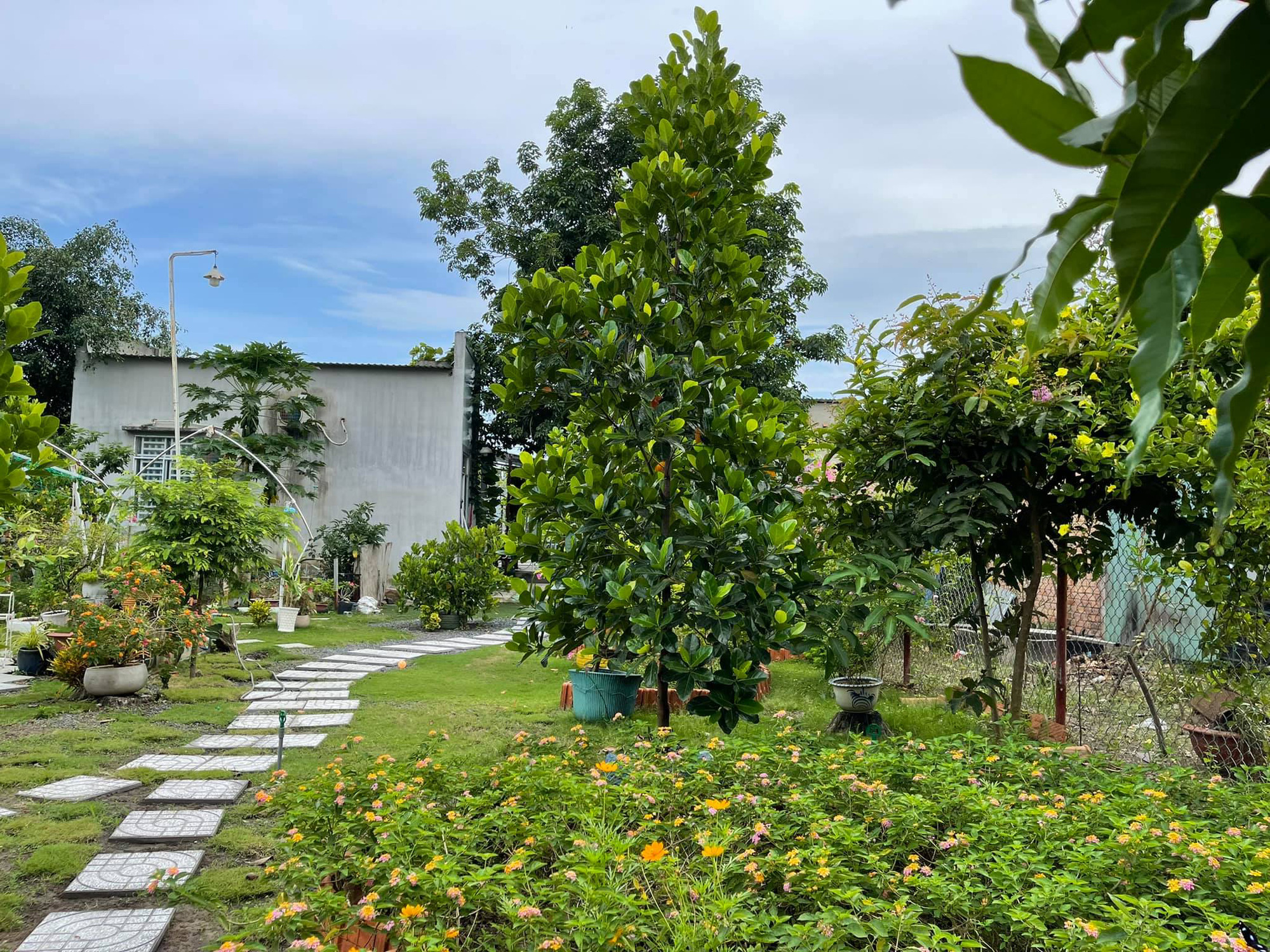 Theo đám đông trào lưu bỏ phố về rừng làm farmstay tiền tỷ, nhiều người cay đắng tiết lộ: Vỡ mộng thực sự, muốn bán gấp - Ảnh 1.