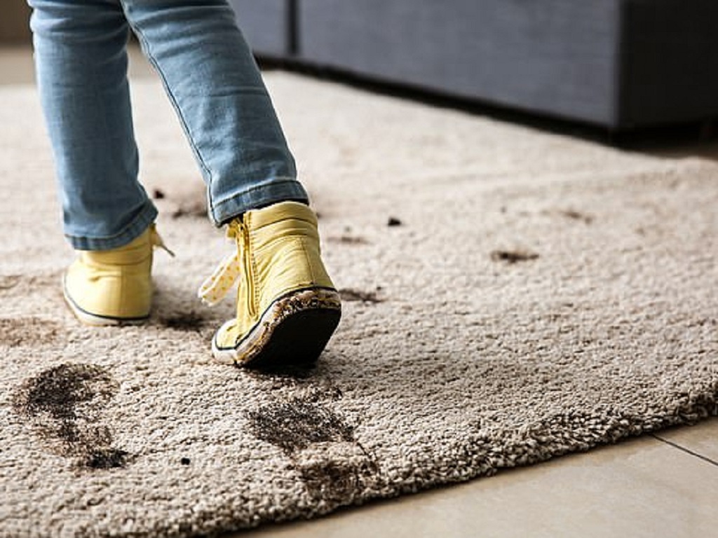 5 đồ gia dụng là nơi "ẩn mình" cả đống vi khuẩn gây bệnh, thậm chí còn gây ung thư nhưng chẳng nhà nào để tâm - Ảnh 2.