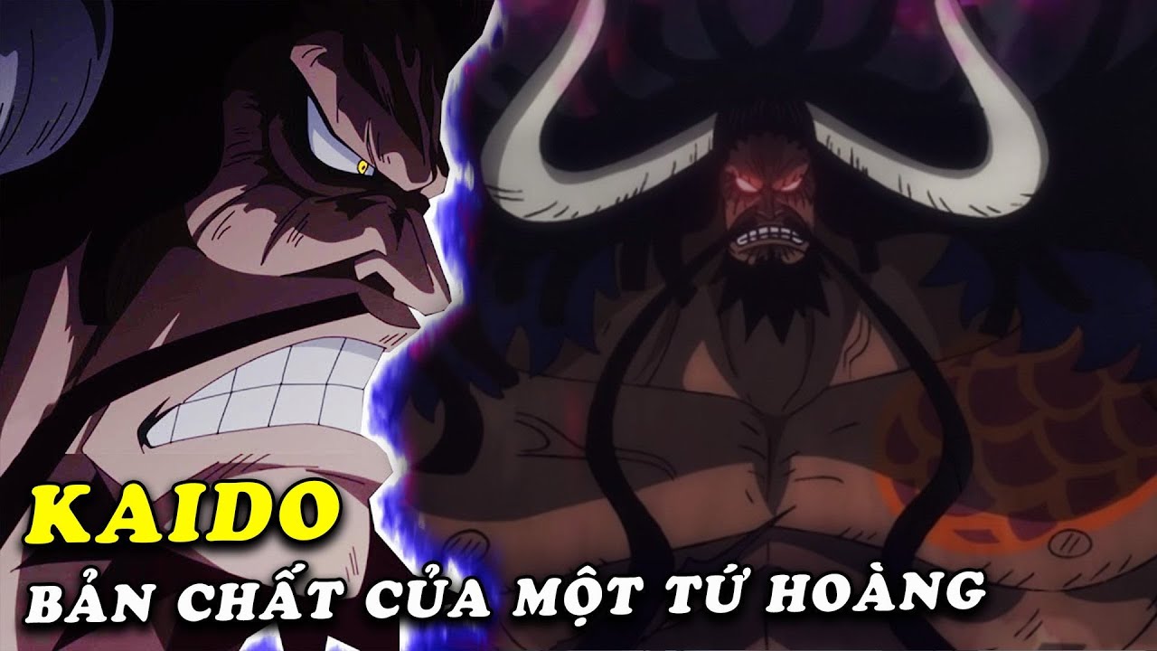 One Piece Kaido C Th C S X U Xa Nh Ch Ng Ta Ngh Tr Ng Nh N T I V L K S Ng C Ngh A Kh