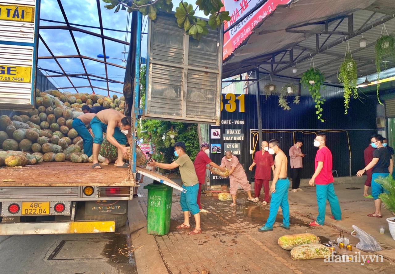 Giải cứu cánh đồng trăm tấn “bí khủng”, giúp người cha 6 con ở Đắk Nông thoát bi kịch mất nhà giữa mùa dịch - Ảnh 1.