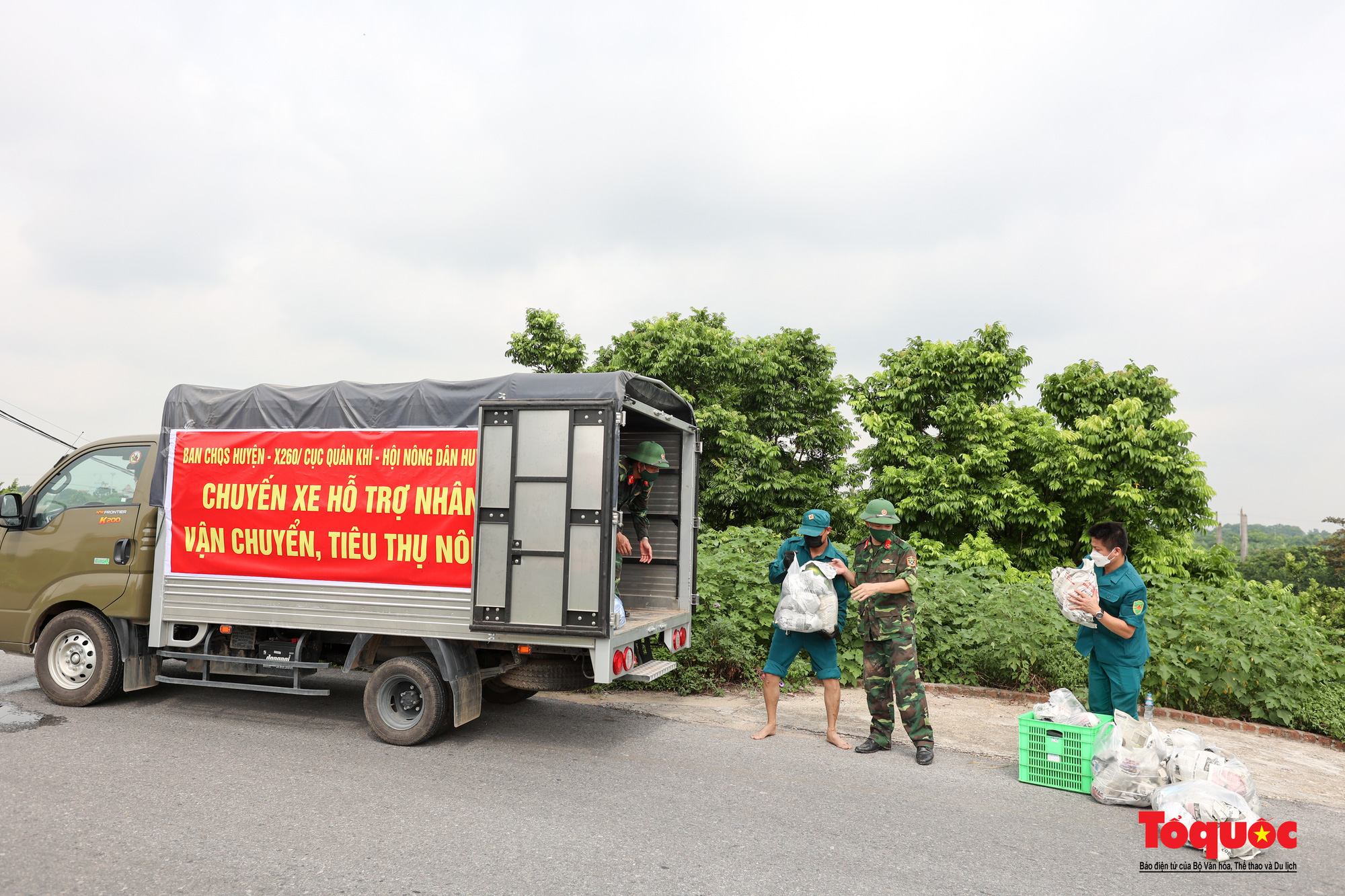 Bộ đội lội ruộng thu hoạch nông sản giúp người nông dân trong thời gian giãn cách xã hội - Ảnh 15.