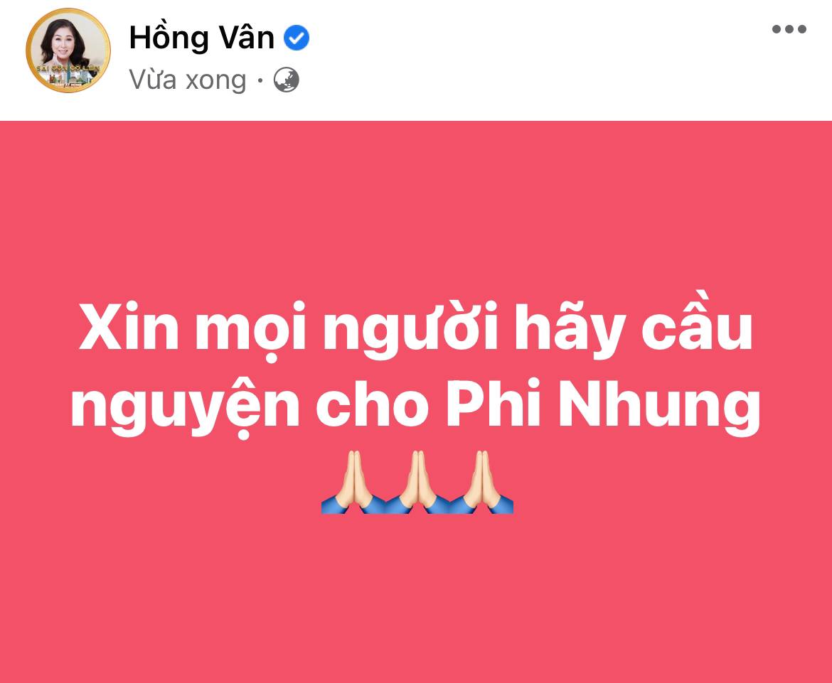 Lệ Quyên, Phương Thanh và cả showbiz đang hướng về Phi Nhung, cầu nguyện cho nữ ca sĩ qua cơn nguy kịch - Ảnh 9.