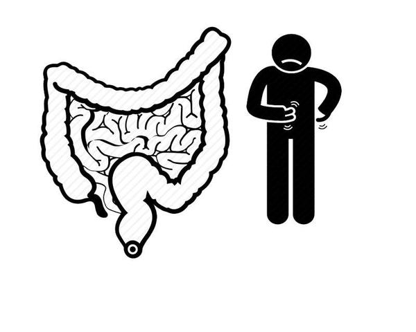 Ruột khoẻ mới sống thọ, tuân thủ quy tắc 3 ít ăn- 3 ít làm giúp bảo vệ “bộ não thứ 2 của cơ thể”: đơn giản mà vô cùng hiệu quả - Ảnh 4.