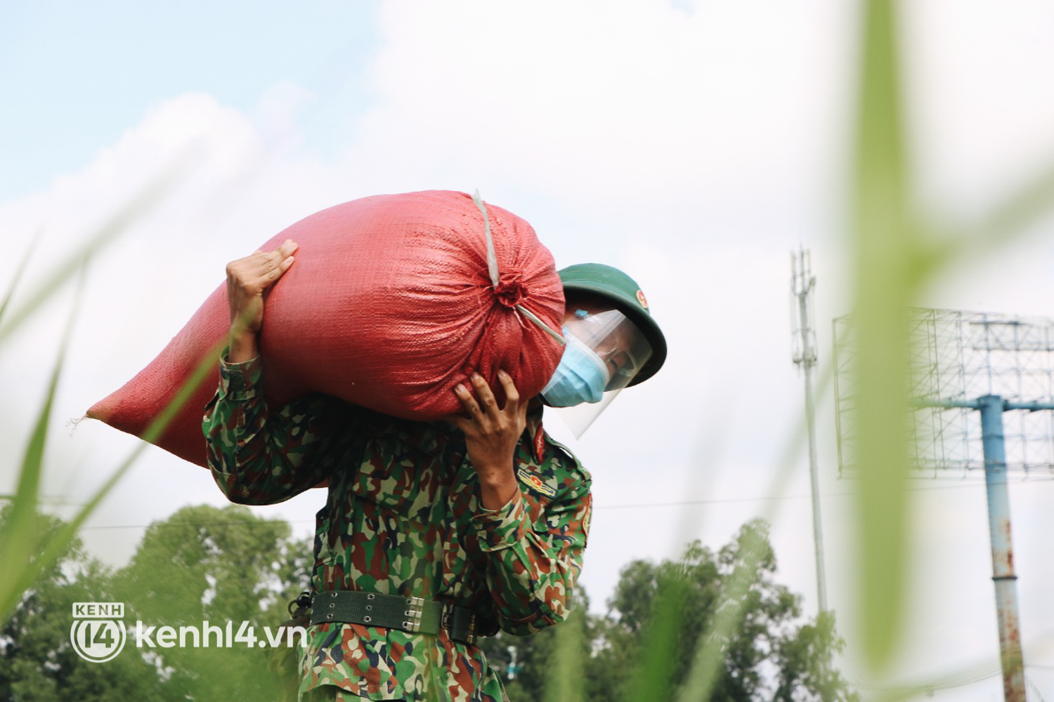 Quân đội lội ruộng thu hoạch lúa giúp nông dân ở TP.HCM  - Ảnh 11.