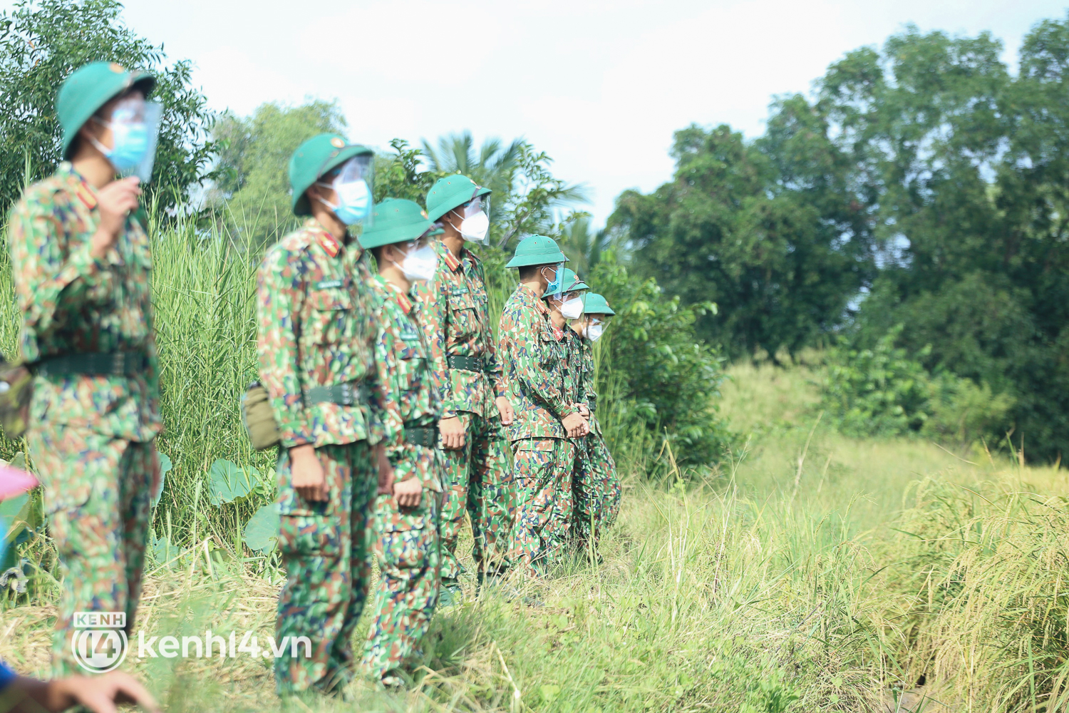 Quân đội lội ruộng thu hoạch lúa giúp nông dân ở TP.HCM  - Ảnh 4.