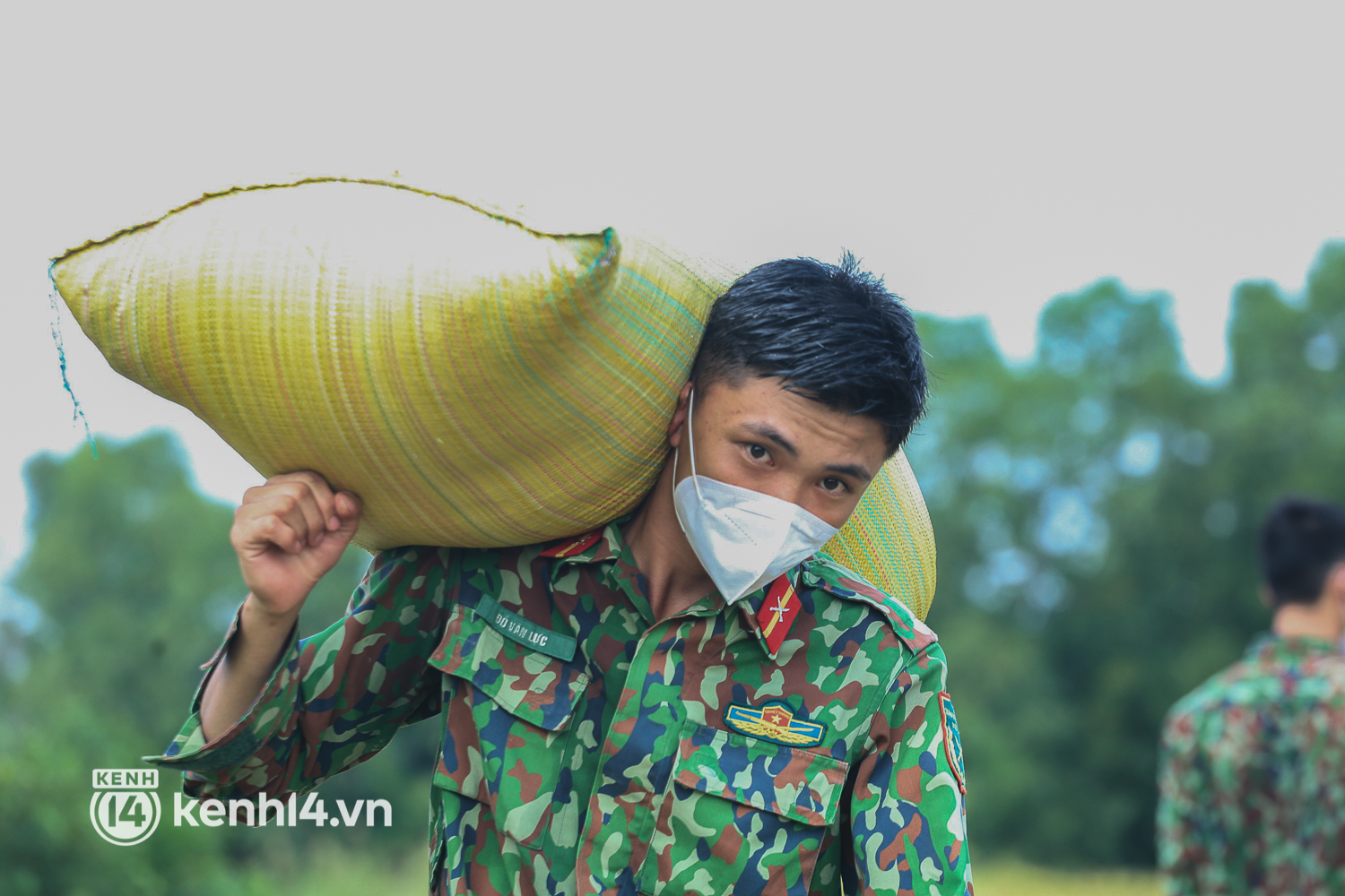 Quân đội lội ruộng thu hoạch lúa giúp nông dân ở TP.HCM  - Ảnh 12.