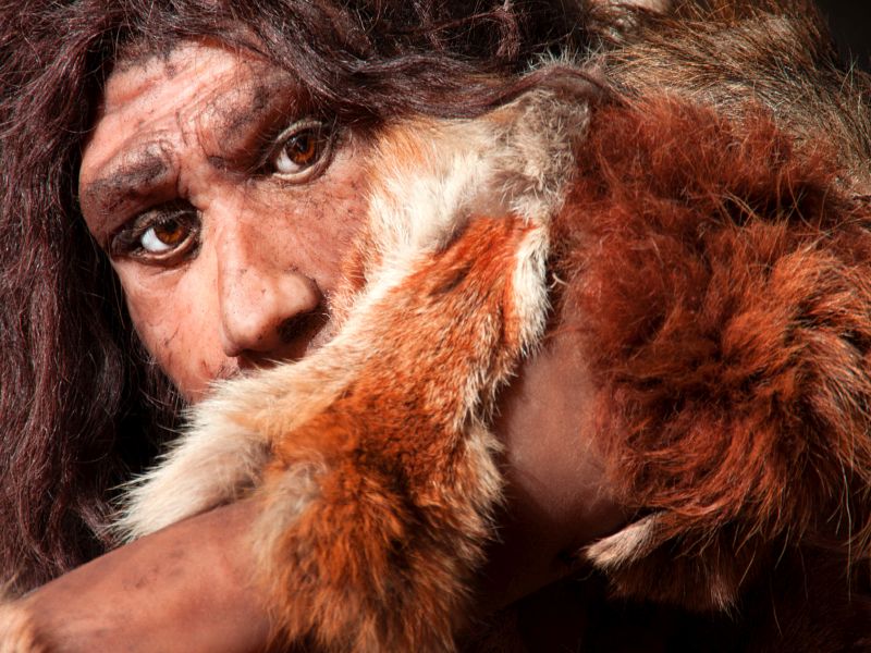 Các nhà nghiên cứu đã giải mã nhóm máu của người cổ Neanderthal và Denisovan - Ảnh 4.