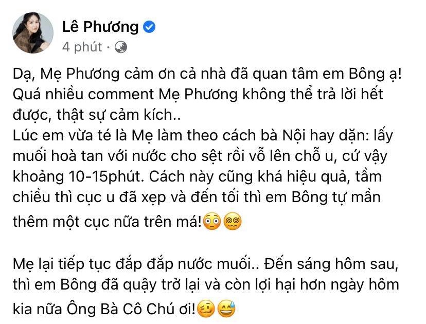 Động thái của Lê Phương sau khi con gái bị chê bai ngoại hình - Ảnh 2.