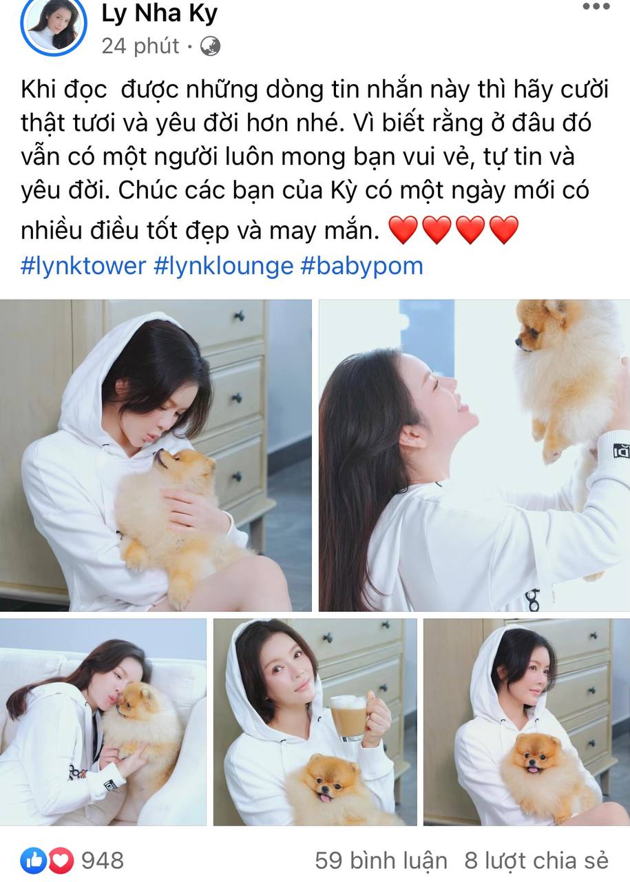 Bị hối thúc lấy chồng và sinh con ở tuổi 39, Lý Nhã Kỳ bức xúc ra mặt, đáp trả 1 chọi 1 rồi thẳng tay xoá hết bình luận - Ảnh 2.