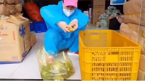 Đi làm thiện nguyện, nghệ sĩ Việt Hương được người dân tặng một món quà cực ấm lòng, nghe cách gọi tên là bật cười - Ảnh 2. Đi làm thiện nguyện, nghệ sĩ Việt Hương được người dân tặng một món quà cực ấm lòng, nghe cách gọi tên là bật cười - Ảnh 2.
