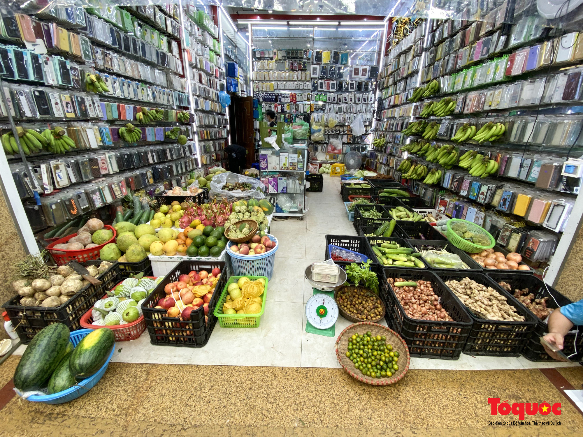 Biến cửa hàng phụ kiện điện thoại thành siêu thị rau mini  giữa phố Cổ - Ảnh 2.