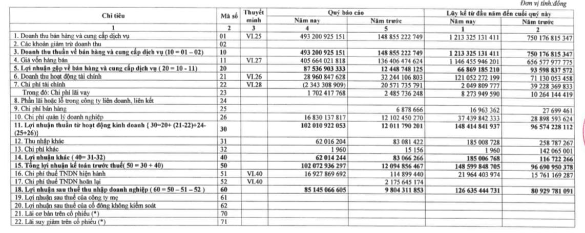 Nhiệt điện Bà Rịa (BTP): Quý 4 lãi 85 tỷ đồng, cao gấp 9 lần so với cùng kỳ - Ảnh 1.