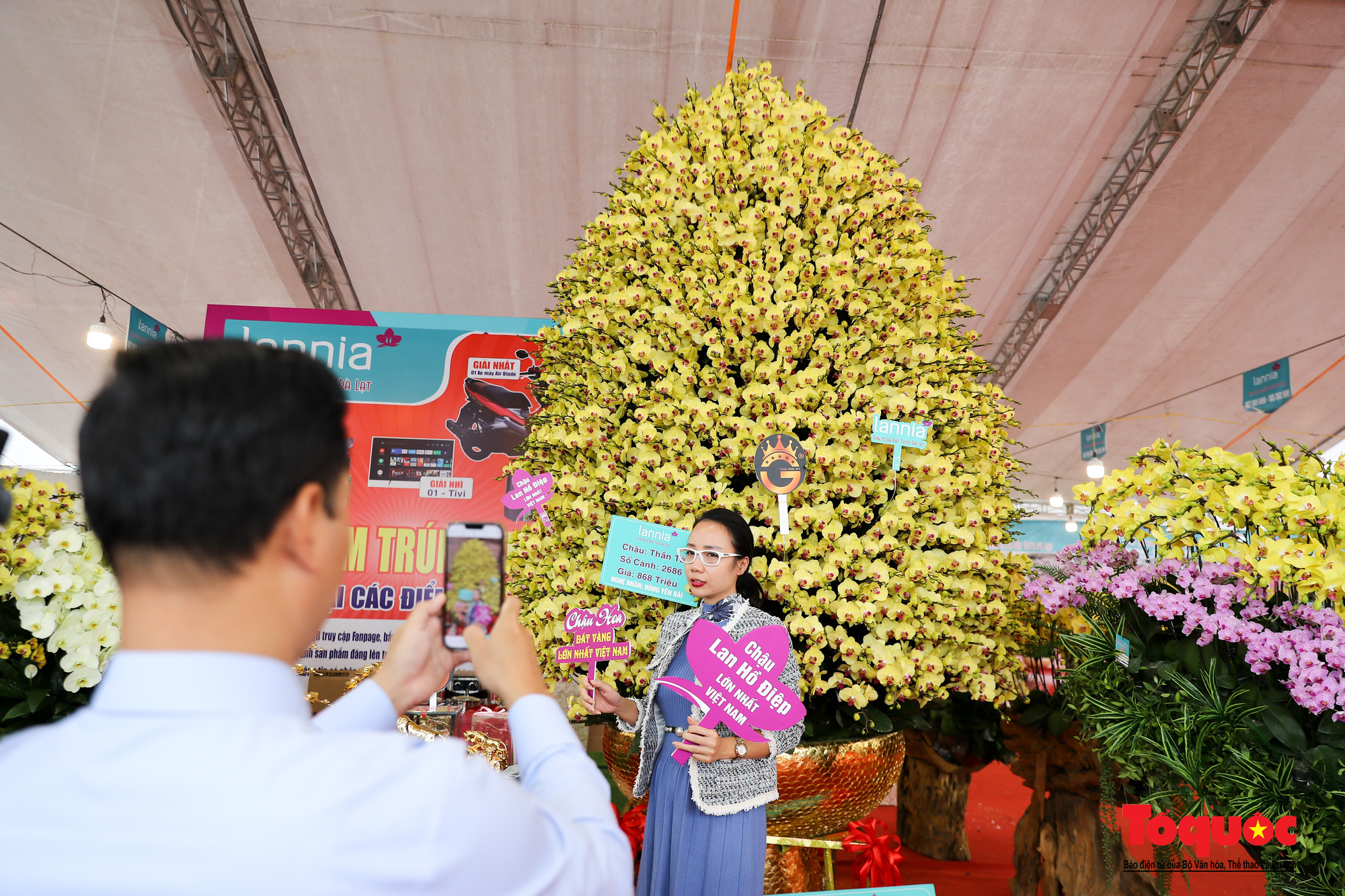 Cận cảnh chậu lan &quot;thần tài&quot; với mức giá lên đến gần 1 tỷ đồng - Ảnh 6.