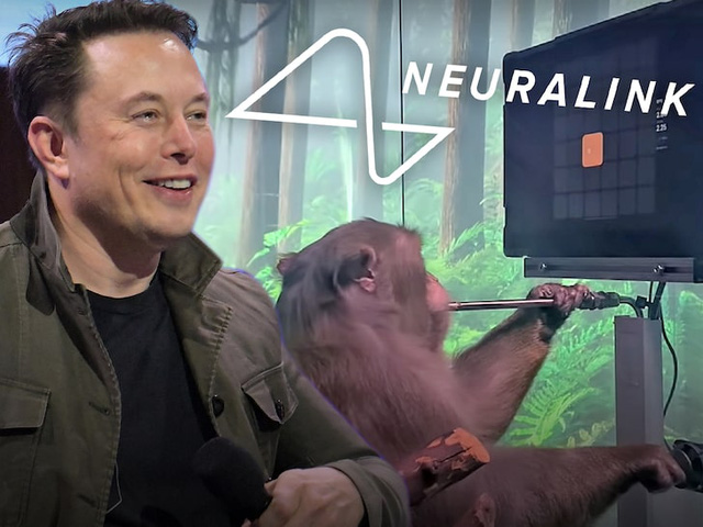 Elon Musk chỉ trích Metaverse là thứ vớ vẩn, phi thực tế - Ảnh 3.