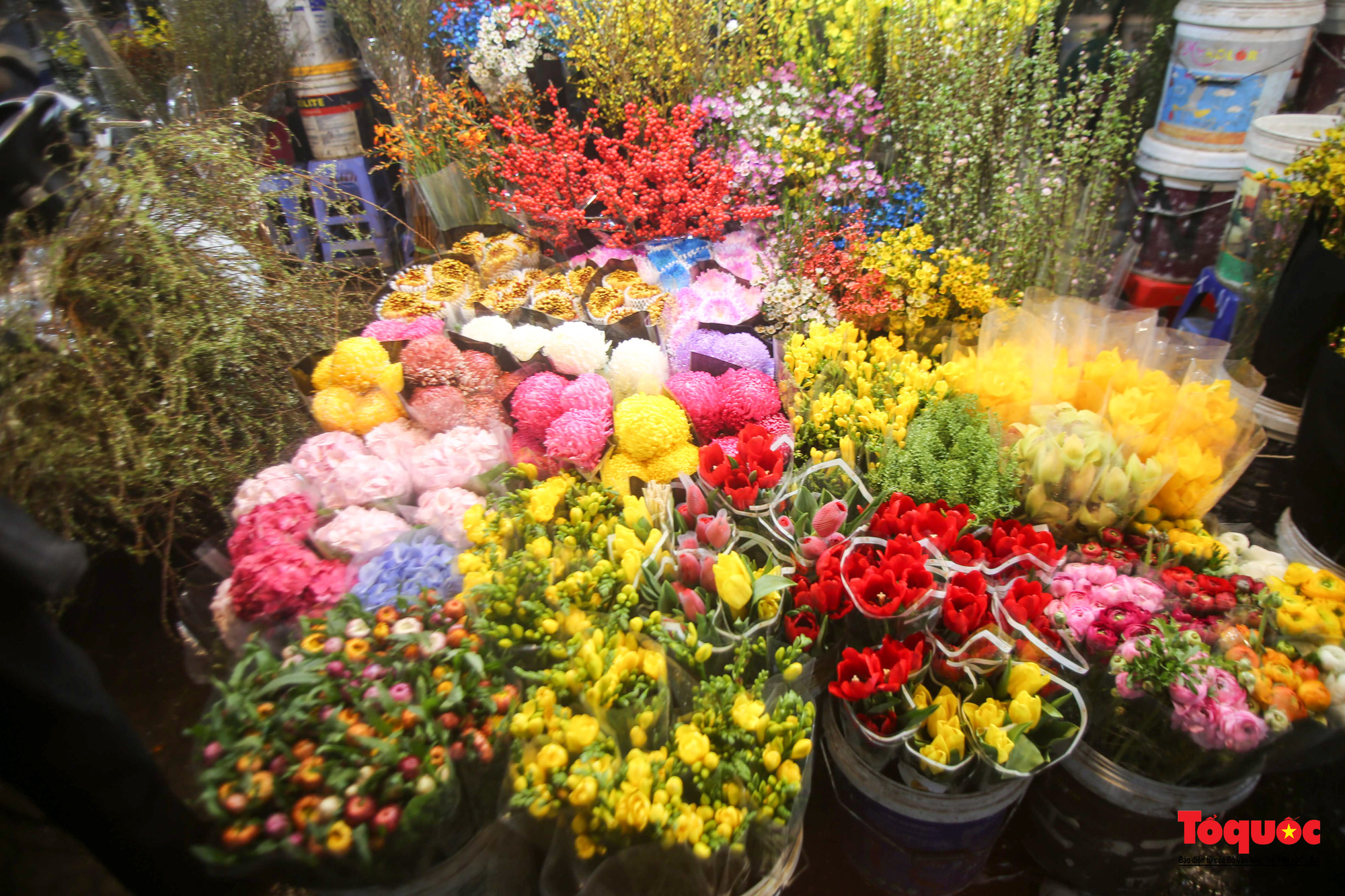 Chợ hoa đêm lớn nhất Hà Nội rộn ràng ngày cận Tết - Ảnh 11.